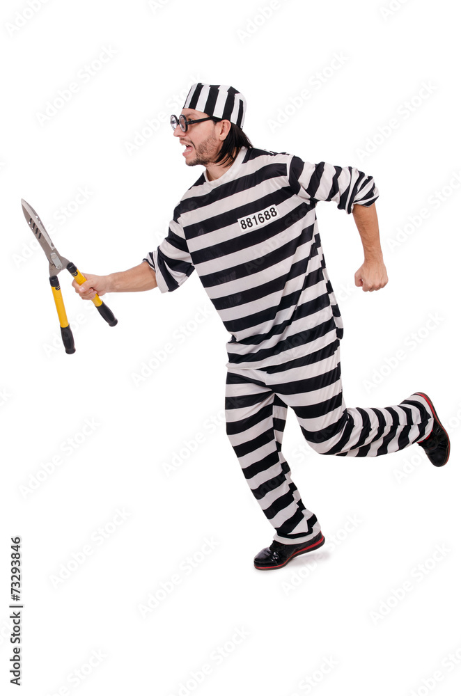 Prison inmate isolated on the white background Prison inmate isolated on the white background