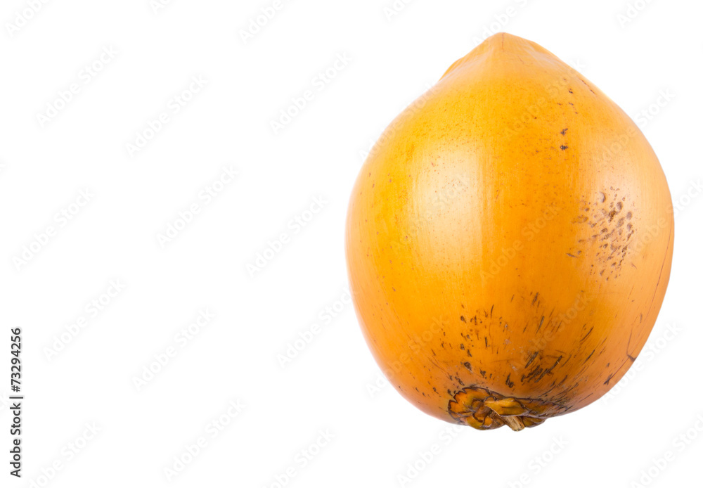 The Malayan Dwarf coconut over white background The Malayan Dwarf coconut over white background