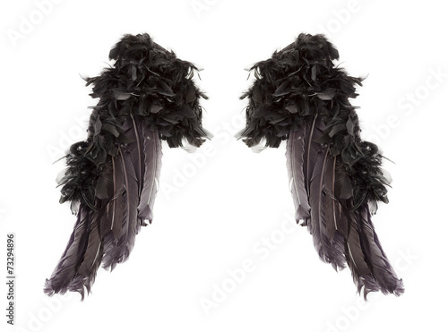 Fotografie, Obraz Dark angel wings