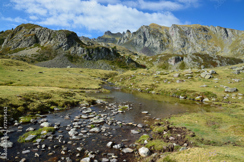 Alpine stream in the Atlantic Pyrenees, Bearn
