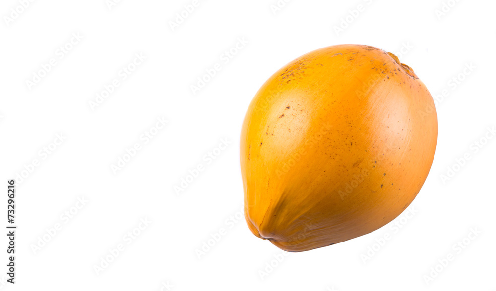 The Malayan Dwarf coconut over white background The Malayan Dwarf coconut over white background