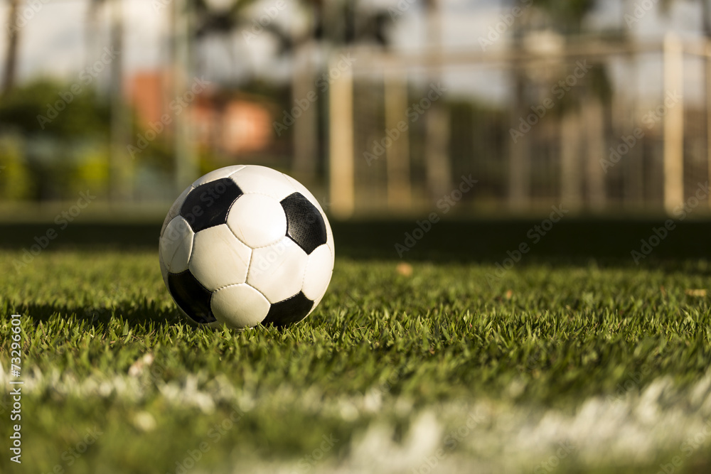 Obraz premium Soccer ball on a grass field.