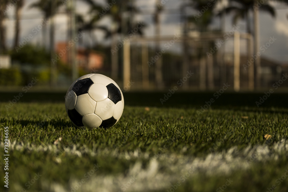 Obraz premium Soccer ball on a grass field.