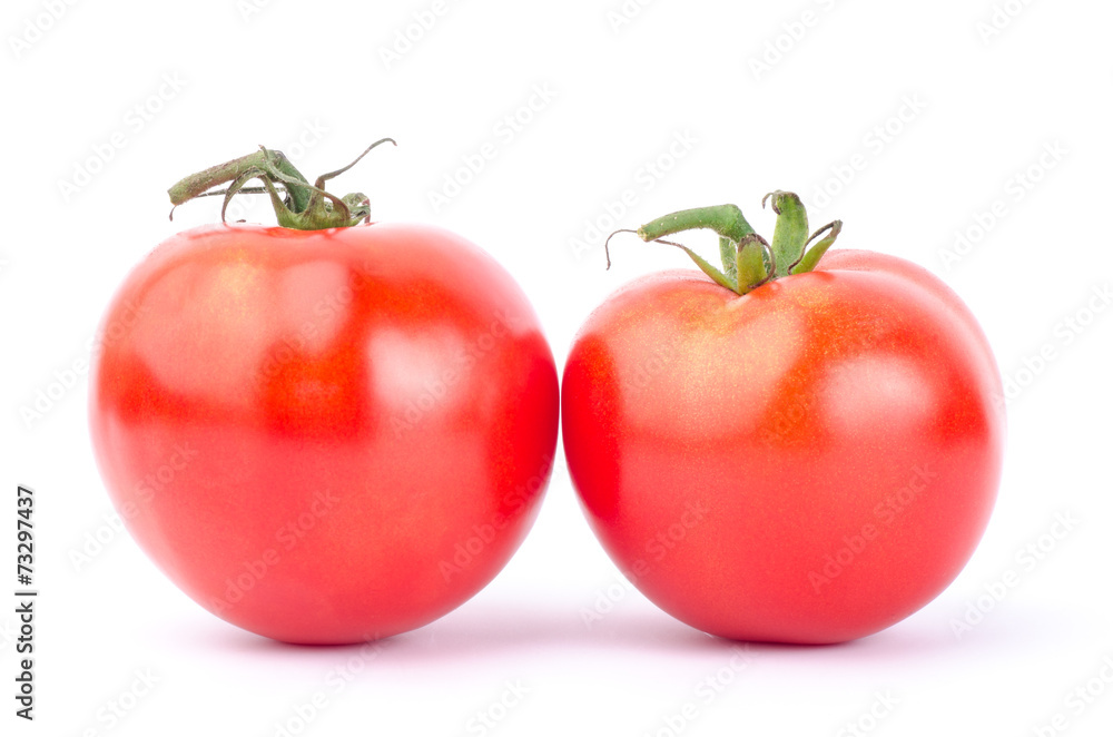 Fresh tomato Fresh tomato