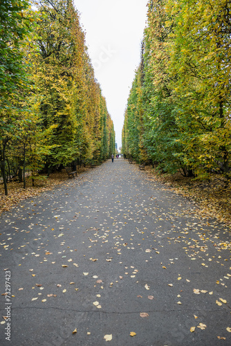 Autumn in Oliwski Park in Gdansk, Poland #73297423