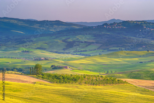 Tuscan spring in fields on the landscape