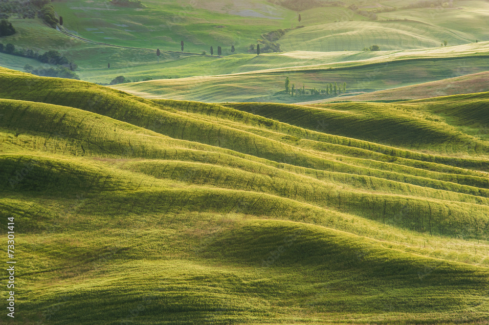 Fototapeta premium Spring field around Pienza, on the road between Siena and Rome