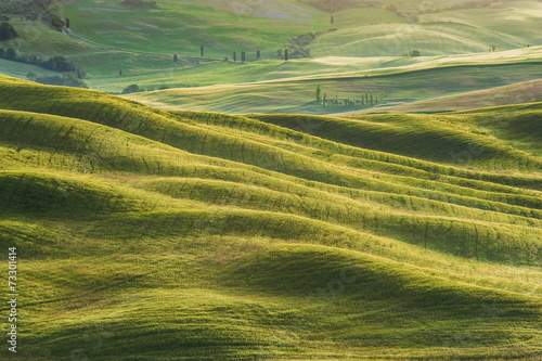 Spring field around Pienza, on the road between Siena and Rome © Jarek Pawlak