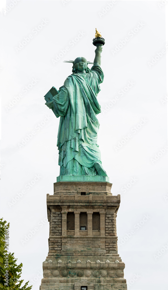 Fototapeta premium The reverse side of Liberty