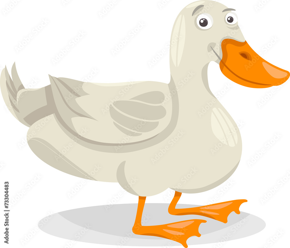 duck farm bird cartoon illustration duck farm bird cartoon illustration