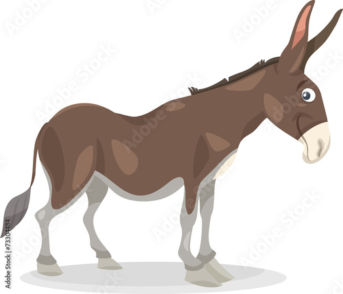 funny donkey cartoon illustration