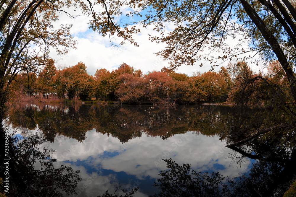 Red trees and blue sky reflection on a lake in Austria Red trees and blue sky reflection on a lake in Austria