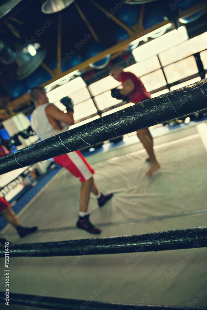 Two Boxers At Training Two Boxers At Training