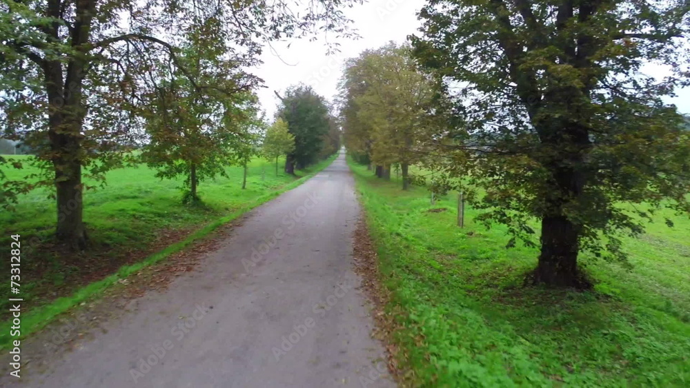 Green brown trees road fly through, dolly, aerial shot park Green brown trees road fly through, dolly, aerial shot park
