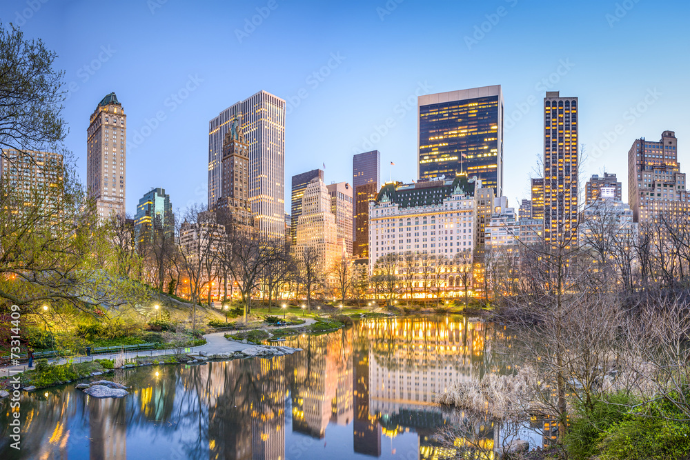 Naklejka premium Central Park w Nowym Jorku o zmierzchu