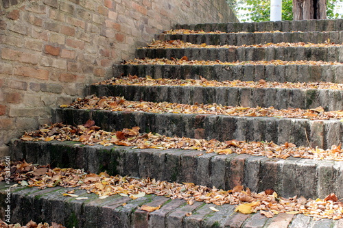 scalinata con foglie d'autunno