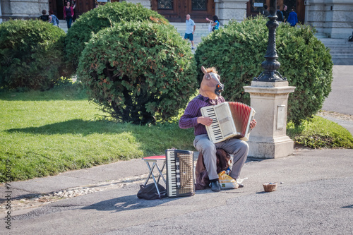 horse playing accordion photo