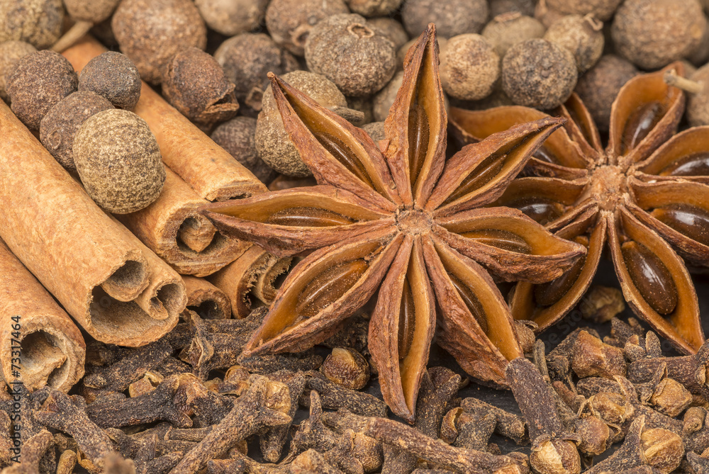 Anisstern,Zimtstange,Gewürznelken und Piment Anisstern,Zimtstange,Gewürznelken und Piment
