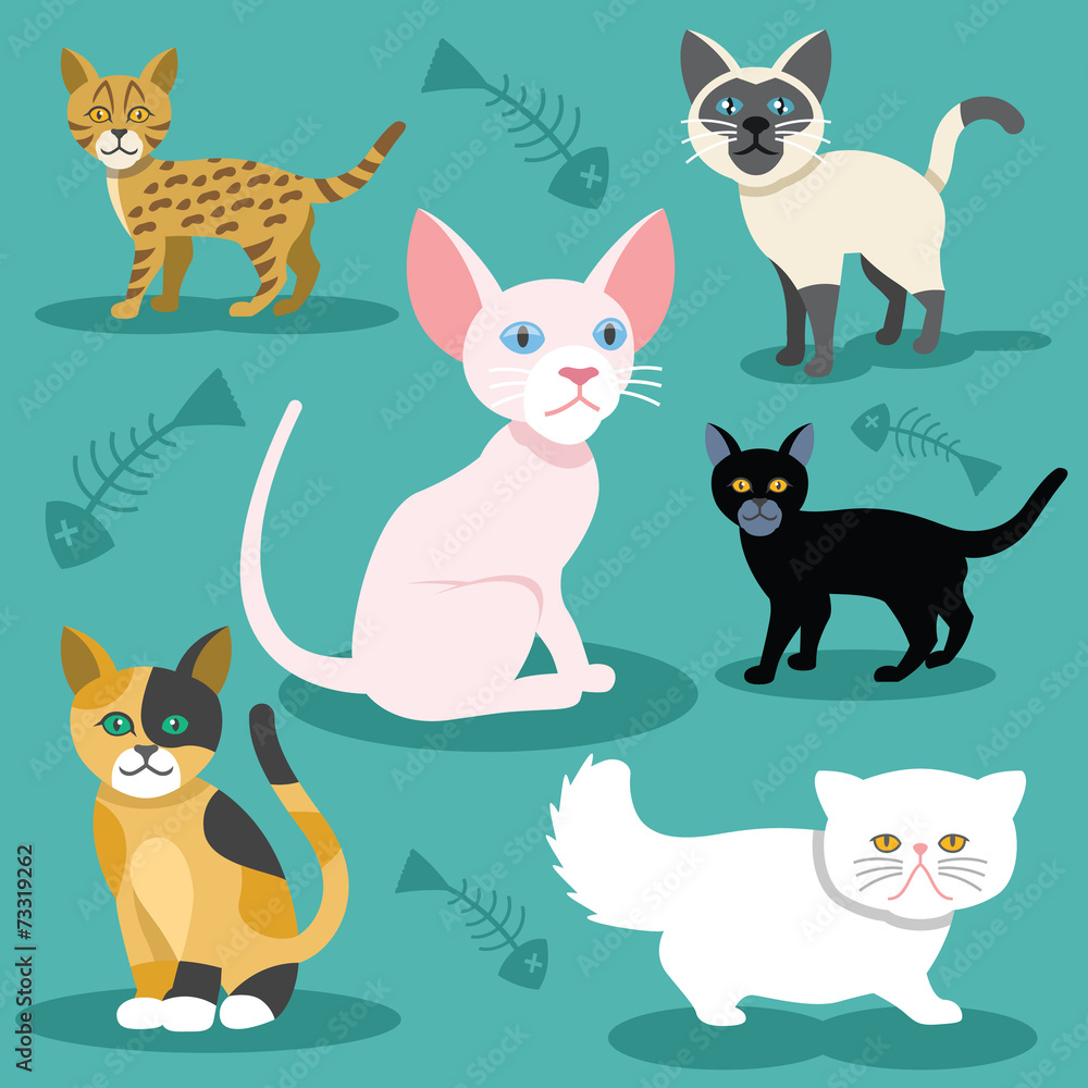 Vector cats flat icons Set Vector cats flat icons Set