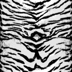 Acrylglasbilder Tierfellmuster Weisser Tiger Muster Vektor Design  © tabitazn