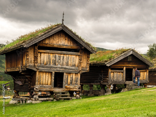 Old traditional Norwegian architecture with grass on the roof.