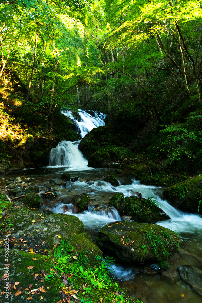 Obraz premium Mountain stream of Shimotaki at Yokokawa