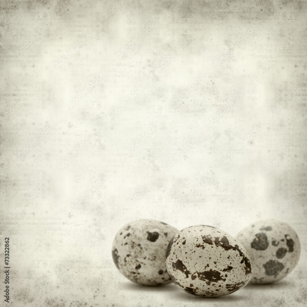 Obraz premium textured old paper background