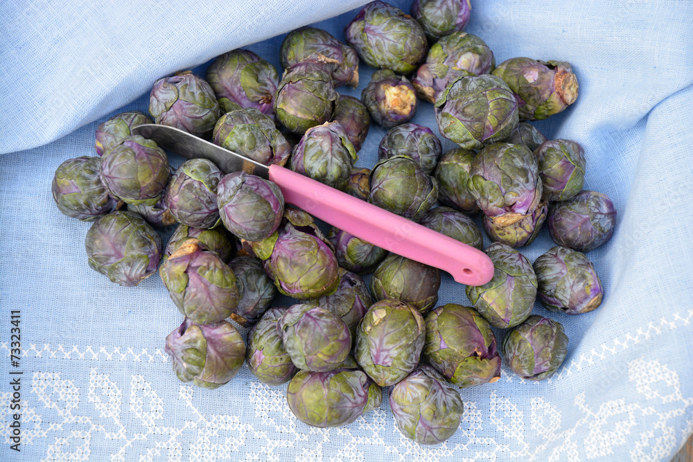 Rubine rood paarse spruitjes op een tafellaken