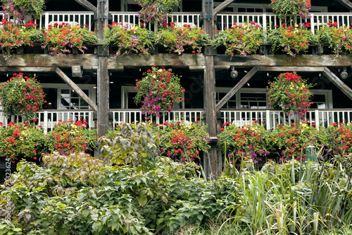 Flowering hanging baskets on old wooden rustic structure