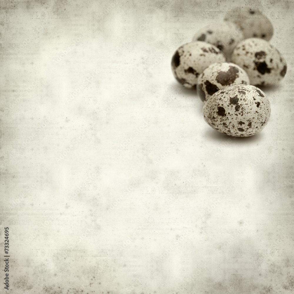 Obraz premium textured old paper background