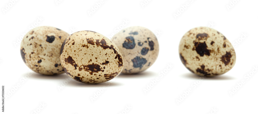 quail eggs isolated on white