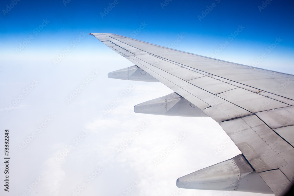 Obraz premium The plane's wings