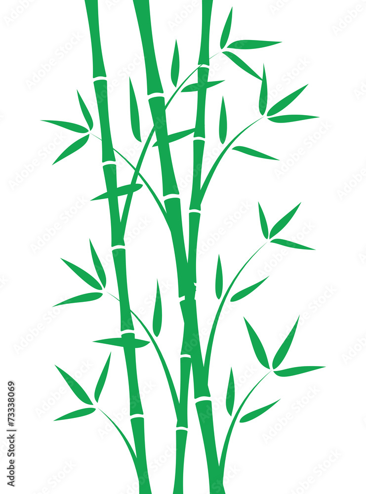 Green bamboo stems on white background Green bamboo stems on white background
