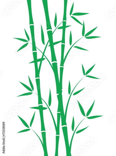 Green bamboo stems on white background