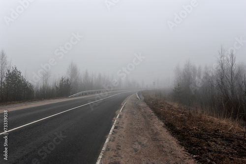autumn road in the fog