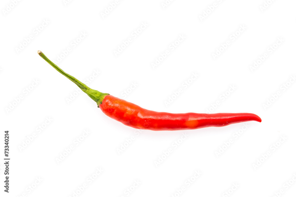 Chilli isolated on white Chilli isolated on white
