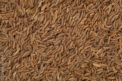 Bild auf Leinwand Cumin seeds closeup