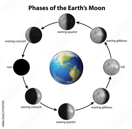 Phases of the Earth's Moon