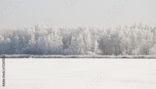 Winter landscape with snow © vadim yerofeyev