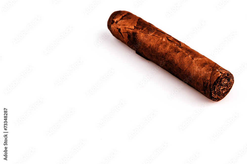 Expensive hand-rolled cigar on a while background Expensive hand-rolled cigar on a while background