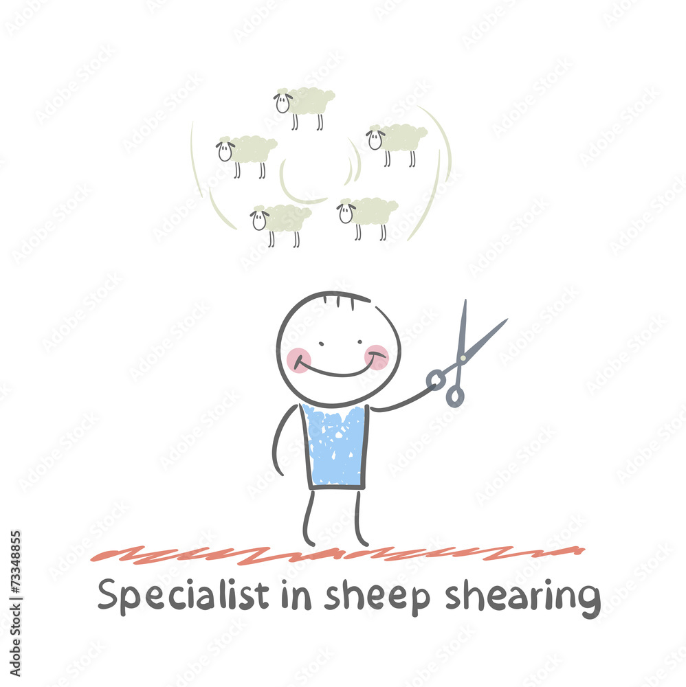 Specialist sheep shearing