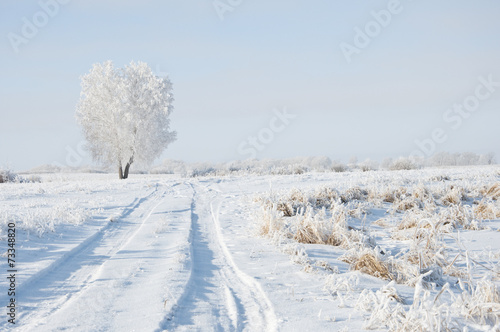 road and hoar-frost on trees in winter © vadim yerofeyev