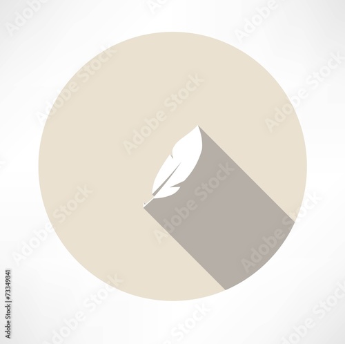 feather icon