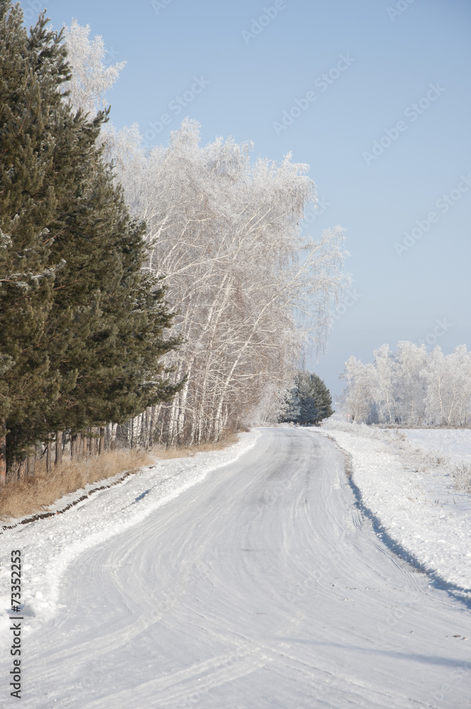 Fototapeta premium road and hoar-frost on trees in winter