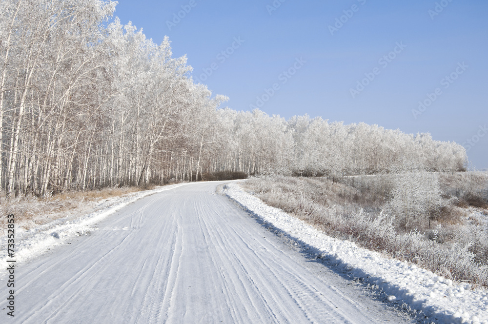 road and hoar-frost on trees in winter