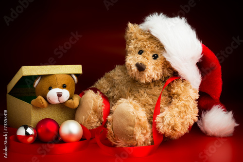 Teddy Bear Wearing a Christmas Hat and a Toy Bear Peeking Out of