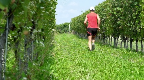 Trail running nelle vigne