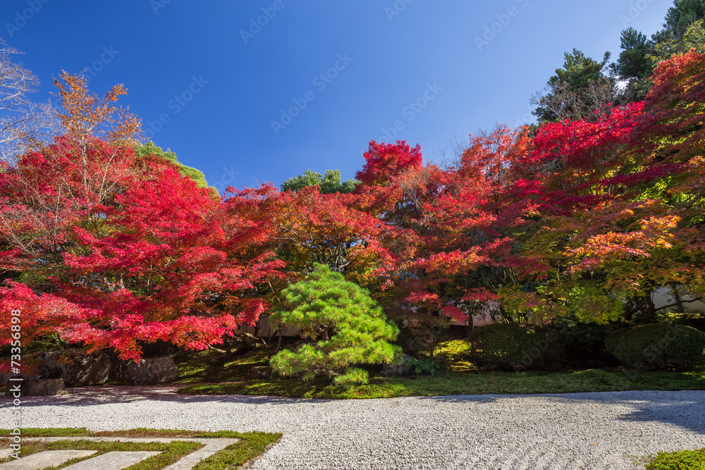 Naklejka premium 秋の天授庵