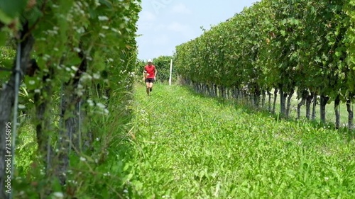 Trail running nelle vigne