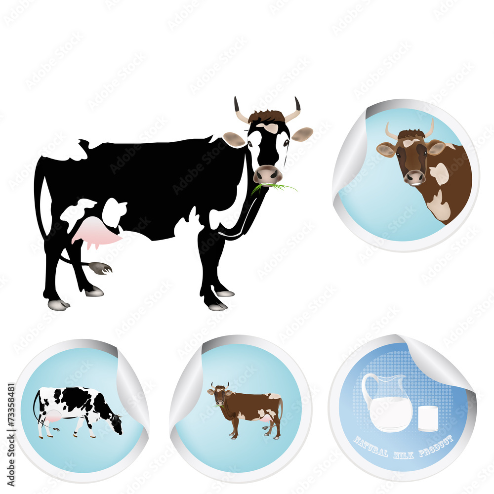 Cow.Milk.Bio dairy product